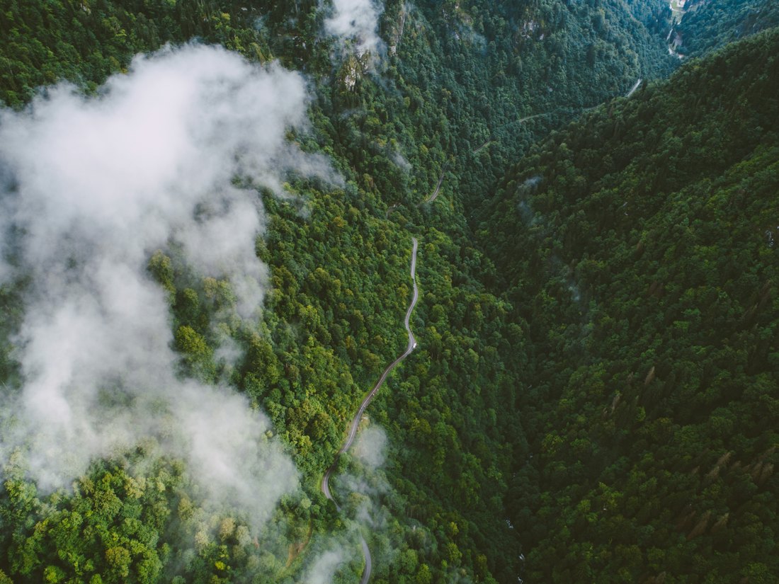 Forest and road viewed from above, mission illustration.